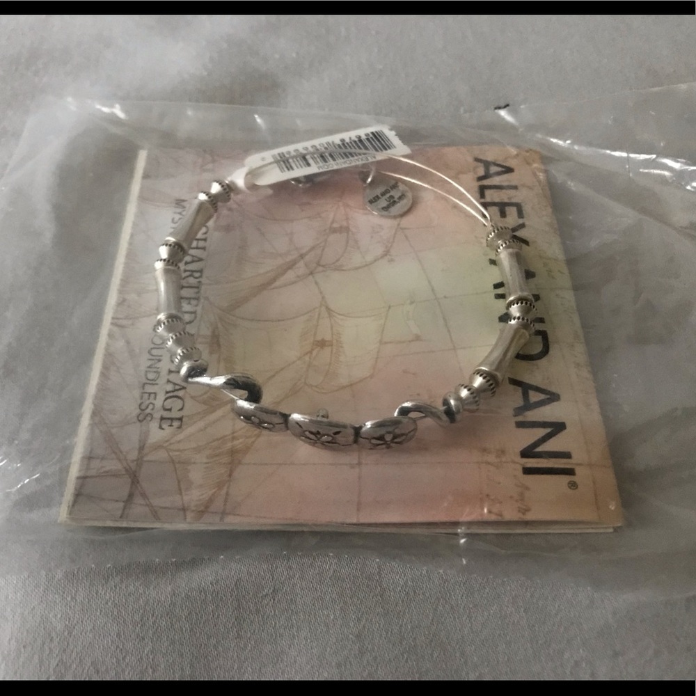 Alex and Ani Sand Dollar Horizontal Bangle